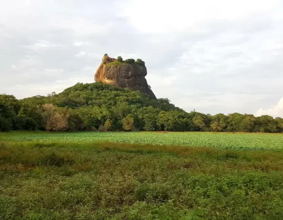 IMMERSIVE CULTURAL JOURNEY AT UNESCO-LISTED SIGIRIYA ROCK WITH BAYSURFMONKEY (FULL-DAY)