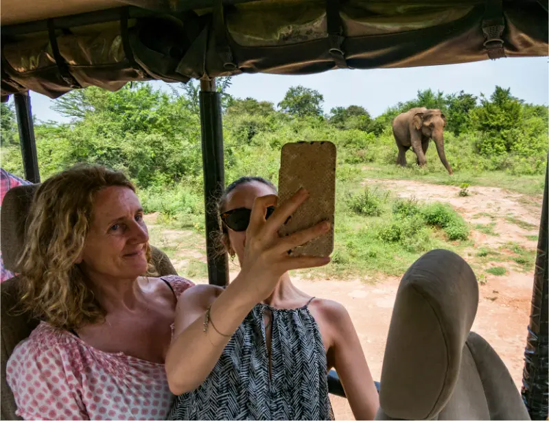 Exploring Udawalawe Safari with Baysurfmonkey: A Wildlife Adventure Like No Other