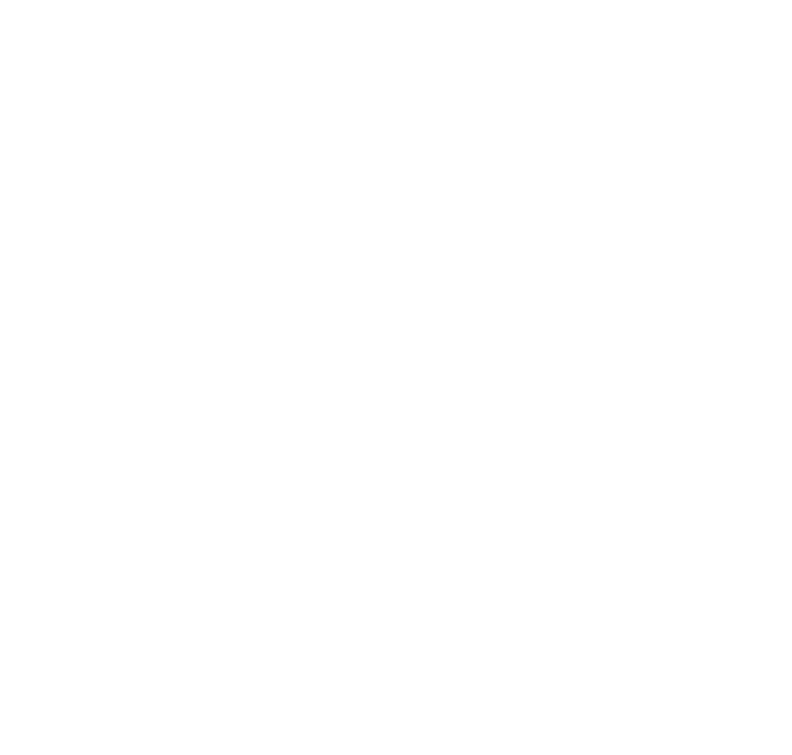 baysurfmonkey logo